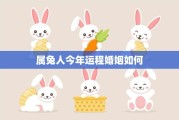 今年生肖兔的运势如何