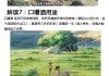 名字中的，你的名字是否真的命中注定？