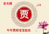贾姓牛宝宝取名灵感