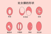 座女性，优雅与智慧的结合