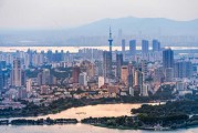 的树叫什么树