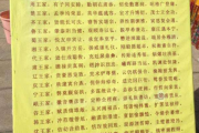 维字辈男宝宝取名技巧与寓意解析