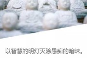山间看见野佛，解读周公解的自然智慧