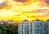 高层养鸟讲究，选择适合的鸟 species 提升居住环境