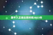 2023年10月23日生肖运势解析，事业与健康 focus on your future