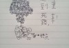 算命，一场跨越的迷宫之术