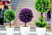 墓地种什么花木好?讲究助眠 墓地种什么花木好?讲究助眠