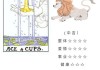 今天运势前三的生肖，这些星座连连！