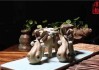 茶室养鱼缸，之道与艺术之选