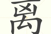 离猫远点，算命中的神秘猫因