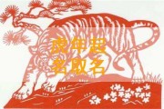 虎宝宝取名姓章，传统与现代的结合