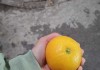 久旱逢甘雨，时来运转