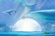 星辰之语，流星发蓝预示着什么？