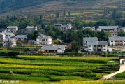农村厨房挂什么最旺，学与农村生活智慧