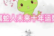 生肖蛇未来十年运势，运势起伏，机遇与并存