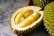 榴莲宝宝怎么样取名，有趣又实用的取名技巧