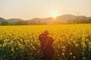 佛寺可不可以求签？现代生活中的灵性实践