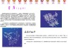 星座、屋和生肖运势查询