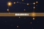 今日生肖运势解析，如何在运势洪流中把握机遇