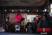 神犬传情，论狗的灵性与人类智慧的对话