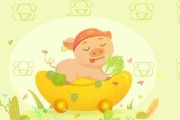 2023年8月15日生肖猪运势，吉星高照，连连