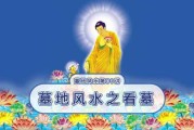 墓前树下埋啥好，讲究与选择指南
