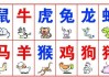星座运势与生肖马配对，解读天命之数