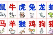 星座运势与生肖马配对，解读天命之数