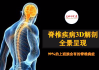 十二星座腰痛是什么原因