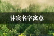 虎宝宝取名沐冉，寓意美好，寓意深刻