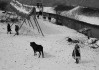 雪的名字，一场关于纯洁与希望的吉凶