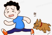 追十二星座，探索天性与自我发现的奇妙旅程