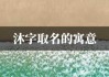 虎宝宝取名沐骞，寓意与背景解析