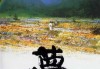的温柔，解析梦见姑姑宝贝周公解梦