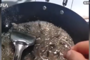 卡银，吉凶参半，如何科学打分？