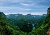 深山遇虎，预兆与解梦解析