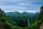 深山遇虎，预兆与解梦解析