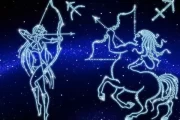 首先，查一下杨洋的星座。杨洋的生日是1986年1月18日，所以他应该是摩羯座。摩羯座通常被称为守护者或哲学家，性格沉稳，有责任感。接下来，我需要介绍摩羯座的特质，比如耐心、责任感、欢哲学和神秘感