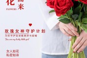 十二星座送什么玫瑰好养