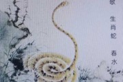 好，用户让我写一篇关于蛇年十二生肖运势的文章，先写标题，再写内容，内容不少于982个字。首先，我需要确定一个吸引人的标题，可能结合蛇年的特点和运势的主题，比如蛇年运势解析，生肖与命运的神秘联