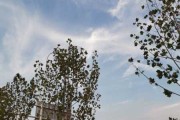 十二星座的失眠之谜，为什么天蝎座、水瓶座等星座容易失眠？