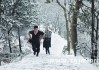 夏天梦见下雪，解读梦境背后的秘密