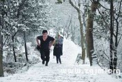 夏天梦见下雪，解读梦境背后的秘密