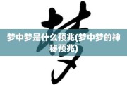 解梦，获得许多东西的神秘预兆