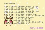 十二星座什么花最气，花与星座的搭配