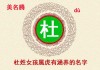 杜姓女孩宝宝取名的艺术与灵感，传承之美，创意无限