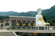 三平寺四十四签解析，解开古老的占卜之谜