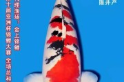 好，用户让我写一篇关于锦鲤送人的寓意的文章。首先，我需要确定文章的标题，要吸引人又相关。，内容部分要不少于822个字，涵盖定义、寓意、文化象征、注意事项以及总结