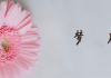 梦见阴人，解读梦境中的阴灵象征意义