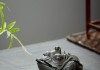 蟾蜍茶具，传统与现代的结合